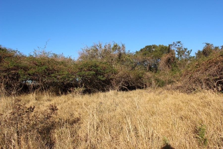 0 Bedroom Property for Sale in Khamanga Bay Eastern Cape